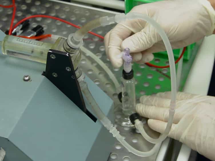 In Vitro Model of Physiological and Pathological Blood Flow with Application to Investigations of Vascular Cell Remodeling