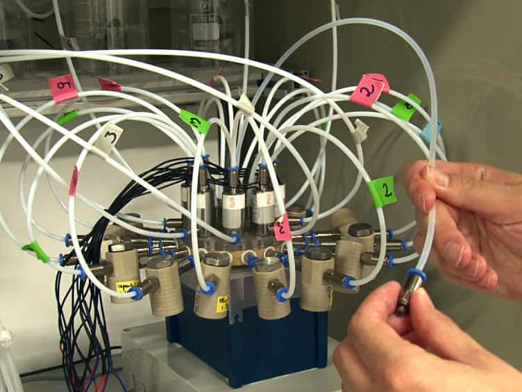 High-resolution Quantification of Odor-guided Behavior in Drosophila melanogaster Using the Flywalk Paradigm