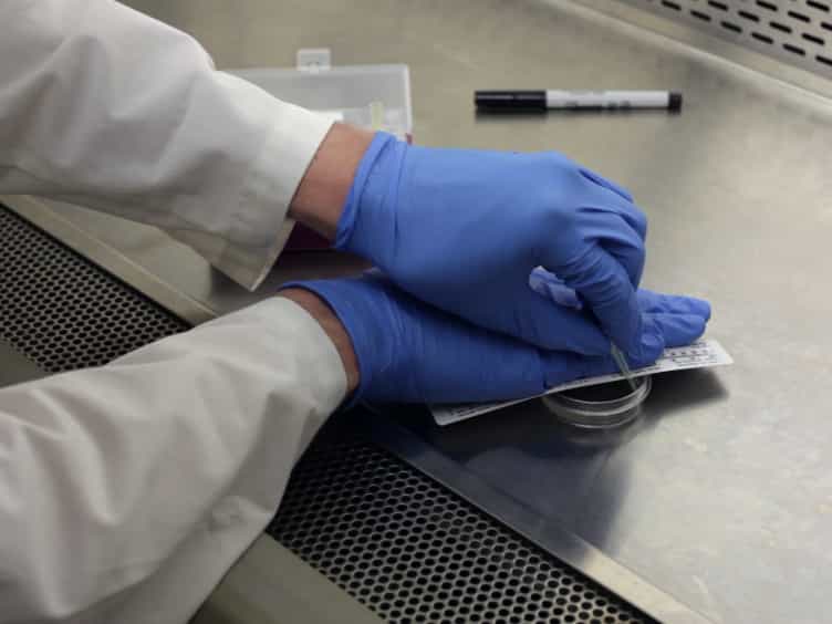 Optimization of the Wound Scratch Assay to Detect Changes in Murine Mesenchymal Stromal Cell Migration After Damage by Soluble Cigarette Smoke Extract