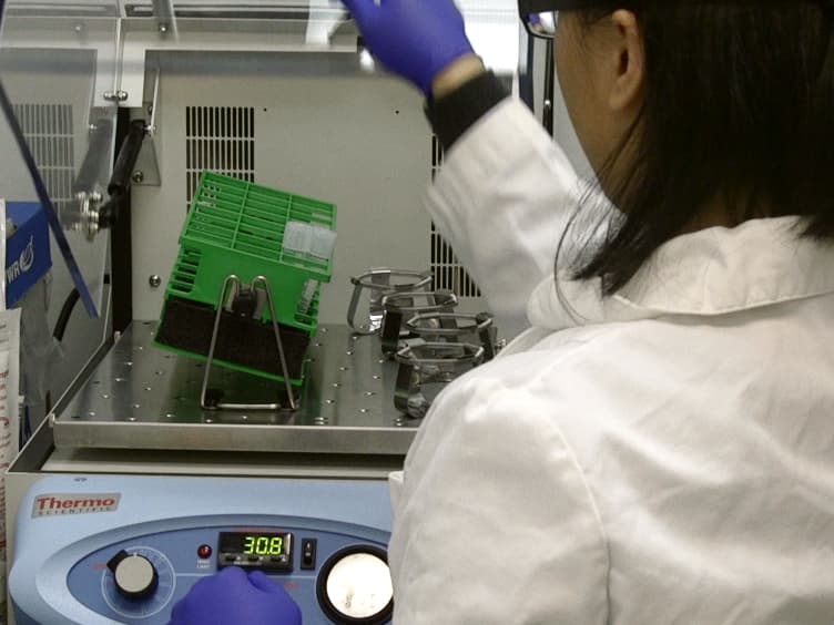 Radiolabeling and Quantification of Cellular Levels of Phosphoinositides by High Performance Liquid Chromatography-coupled Flow Scintillation