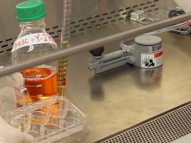 Establishment of Genome-edited Human Pluripotent Stem Cell Lines: From Targeting to Isolation