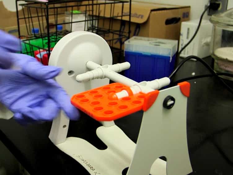 Examination of Proteins Bound to Nascent DNA in Mammalian Cells Using BrdU-ChIP-Slot-Western Technique