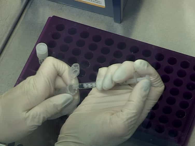 Transarterial Administration of Oncolytic Viruses for Locoregional Therapy of Orthotopic HCC in Rats