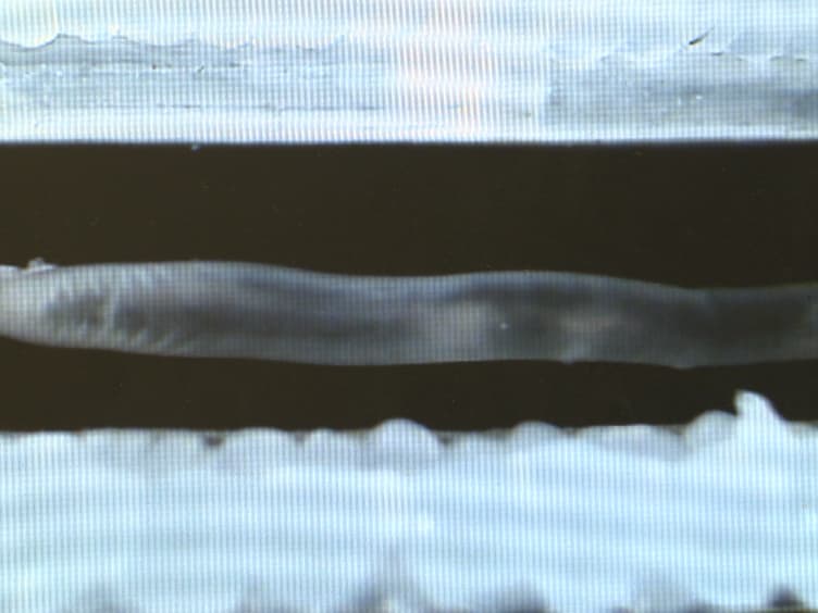Video Imaging and Spatiotemporal Maps to Analyze Gastrointestinal Motility in Mice