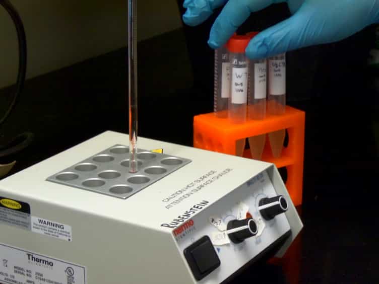 Cycloheximide Chase Analysis of Protein Degradation in Saccharomyces cerevisiae