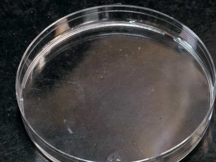 Murine Prostate Micro-dissection and Surgical Castration
