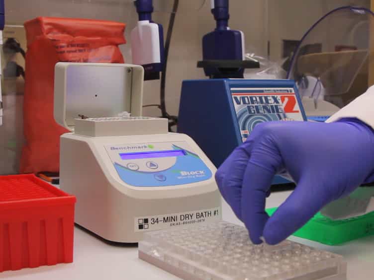 Targeted RNA Sequencing Assay to Characterize Gene Expression and Genomic Alterations