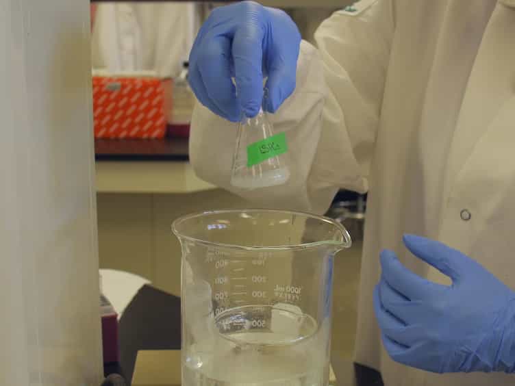 Delivery of Therapeutic siRNA to the CNS Using Cationic and Anionic Liposomes