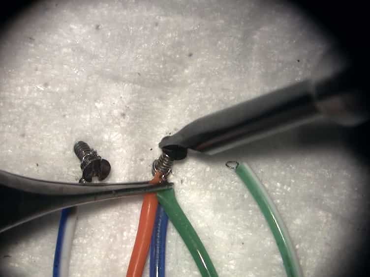 Implantation and Recording of Wireless Electroretinogram and Visual Evoked Potential in Conscious Rats