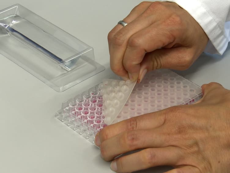 High-throughput Screening of Carbohydrate-degrading Enzymes Using Novel Insoluble Chromogenic Substrate Assay Kits