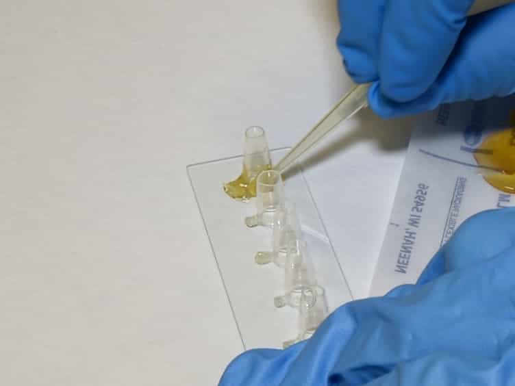 Fabrication of Inverted Colloidal Crystal Polyethylene glycol Scaffold: A Three-dimensional Cell Culture Platform for Liver Tissue Engineering
