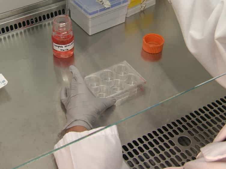 Preparation and Applications of Organotypic Thymic Slice Cultures