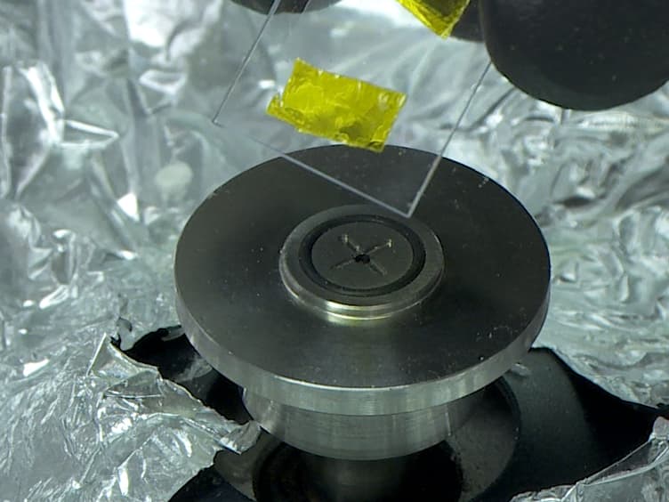 Capture and Release of Viable Circulating Tumor Cells from Blood