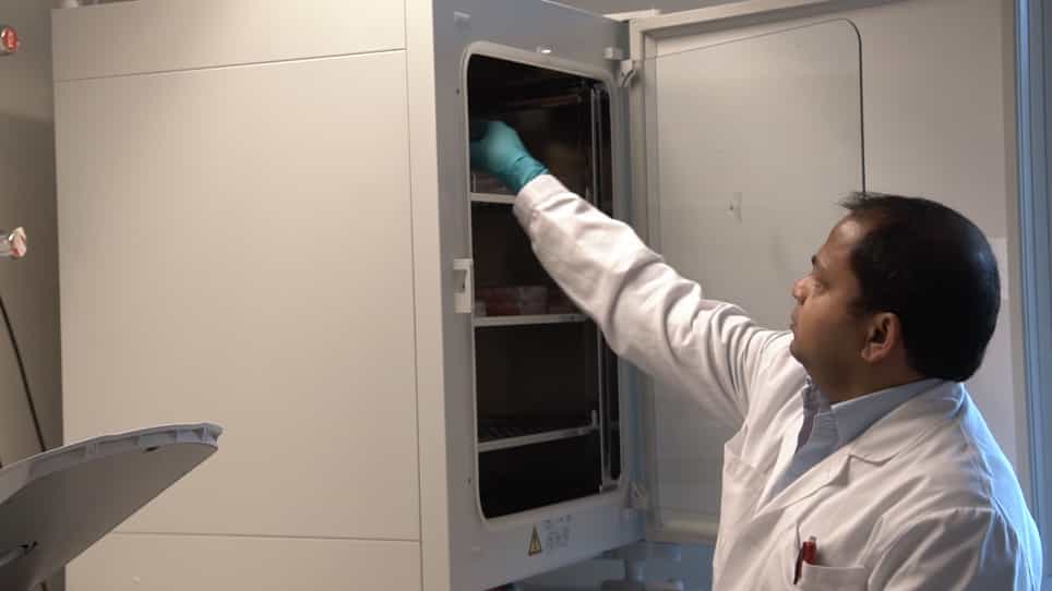 Assays for Studying the Role of Vitronectin in Bacterial Adhesion and Serum Resistance