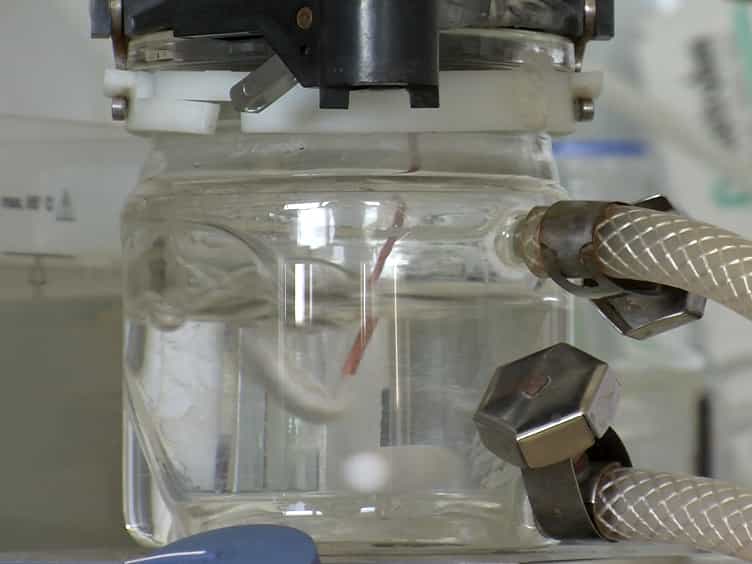 Synthesis of Cationized Magnetoferritin for Ultra-fast Magnetization of Cells
