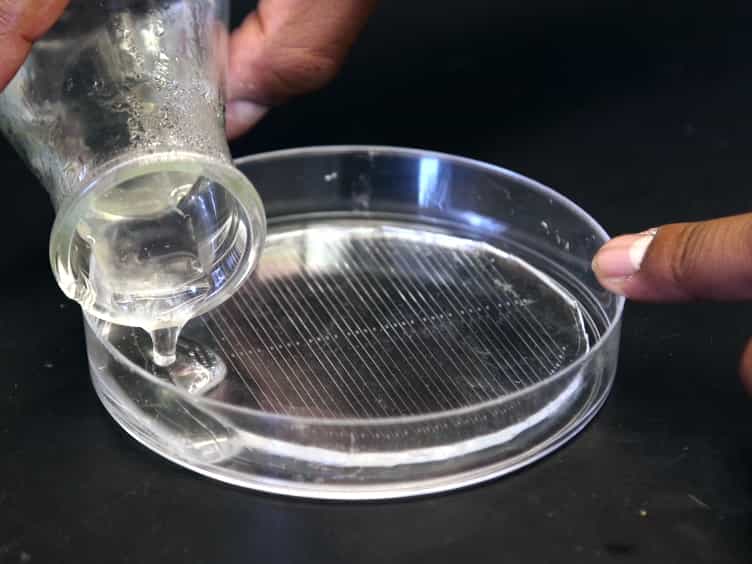 Using Linear Agarose Channels to Study Drosophila Larval Crawling Behavior
