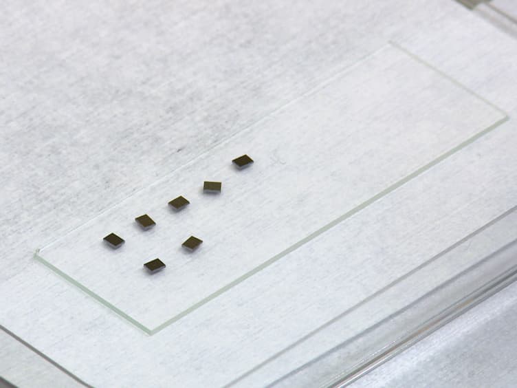 Studying Dynamic Processes of Nano-sized Objects in Liquid using Scanning Transmission Electron Microscopy