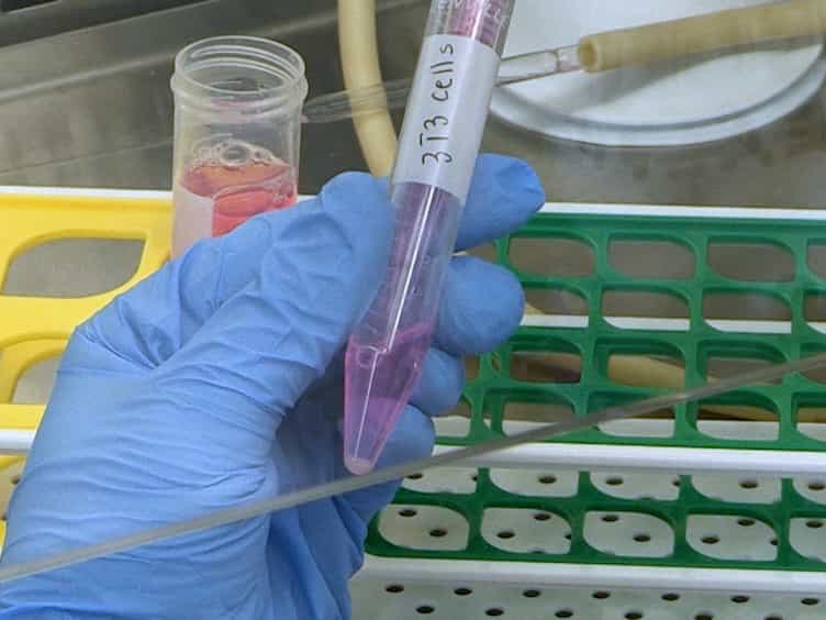 Conditional Reprogramming of Pediatric Human Esophageal Epithelial Cells for Use in Tissue Engineering and Disease Investigation