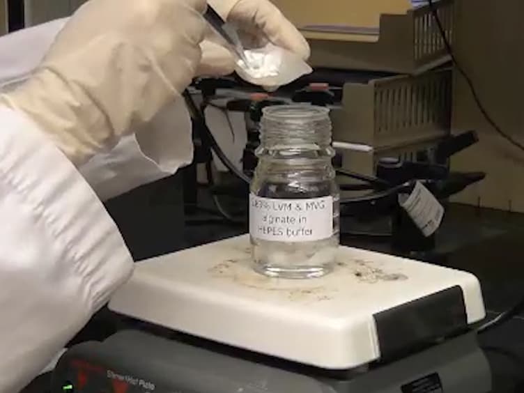 Mammalian Cell Encapsulation in Alginate Beads Using a Simple Stirred Vessel