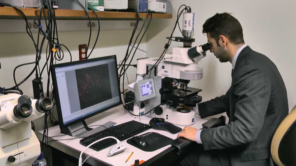 Pancreatic Duct Infusion: An Effective and Selective Method of Drug and Viral Delivery