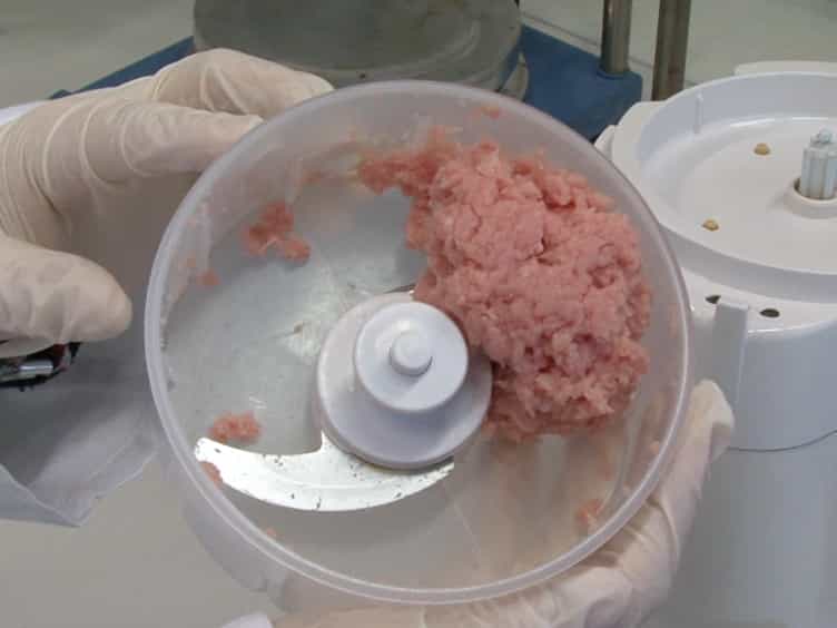 Magnetic Stirrer Method for the Detection of Trichinella Larvae in Muscle Samples
