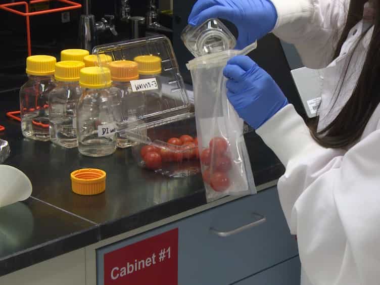 Controlled-release of Chlorine Dioxide in a Perforated Packaging System to Extend the Storage Life and Improve the Safety of Grape Tomatoes