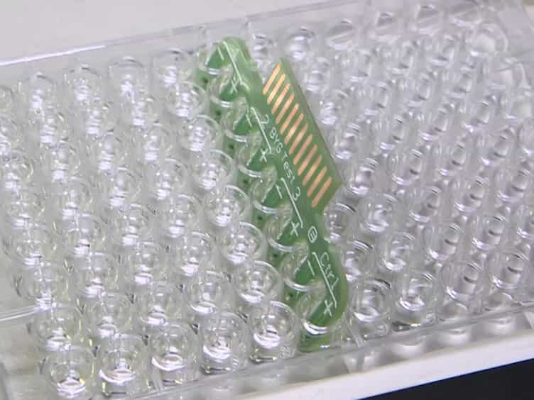 The Use of a β-lactamase-based Conductimetric Biosensor Assay to Detect Biomolecular Interactions