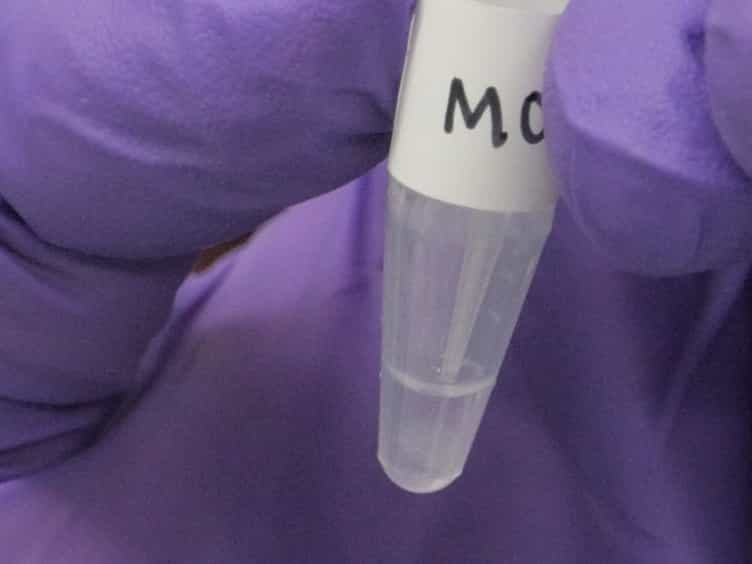 Measuring G-protein-coupled Receptor Signaling via Radio-labeled GTP Binding