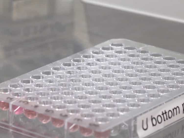 Fluorescence-based Neuraminidase Inhibition Assay to Assess the Susceptibility of Influenza Viruses to The Neuraminidase Inhibitor Class of Antivirals