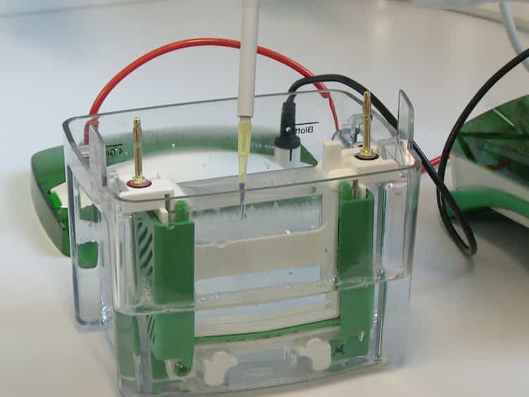 Lipid Droplet Isolation for Quantitative Mass Spectrometry Analysis