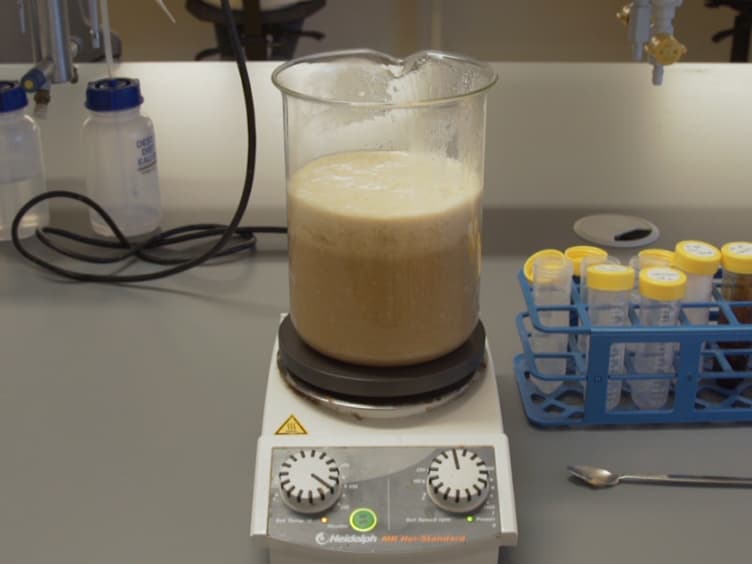 A Method to Test the Effect of Environmental Cues on Mating Behavior in Drosophila melanogaster
