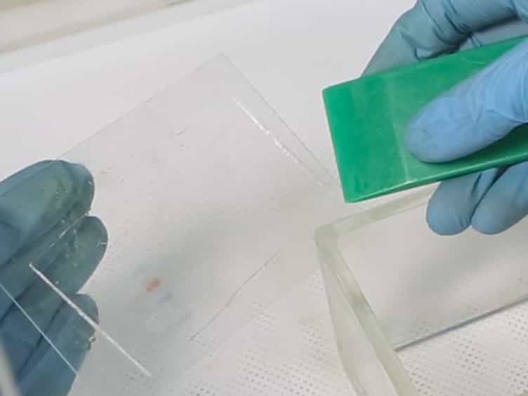 Oligopeptide Competition Assay for Phosphorylation Site Determination