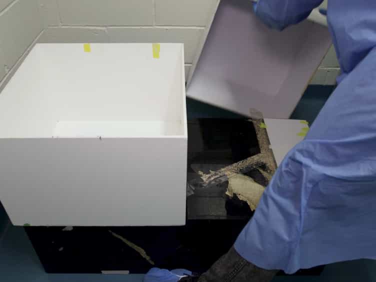 Novel Object Recognition Test for the Investigation of Learning and Memory in Mice