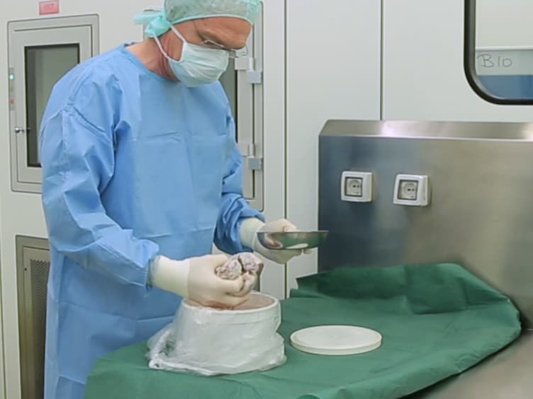 Optimized Protocol for the Extraction of Proteins from the Human Mitral Valve