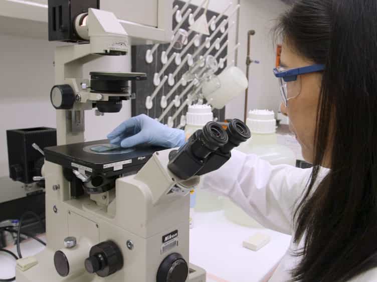 In Vitro Bioluminescence Assay to Characterize Circadian Rhythm in Mammary Epithelial Cells