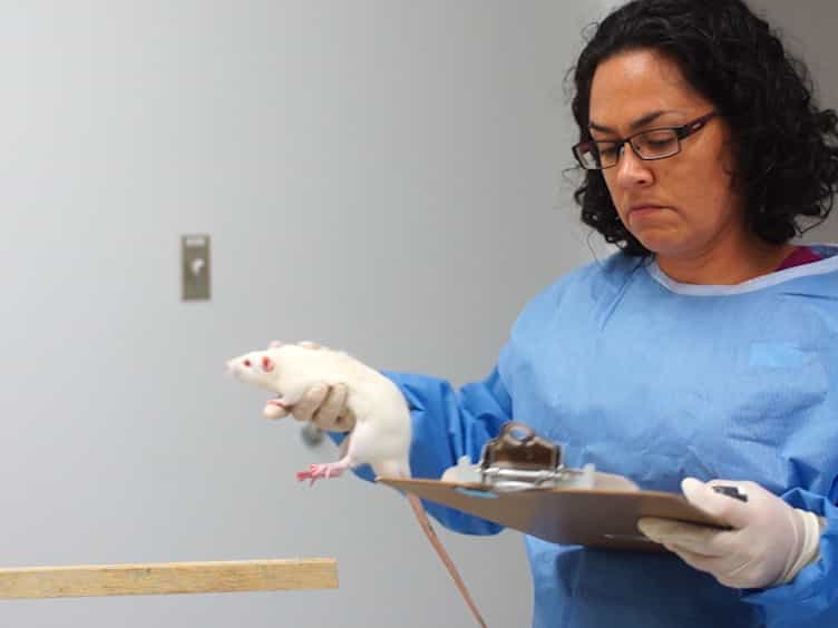 Detecting Behavioral Deficits in Rats After Traumatic Brain Injury