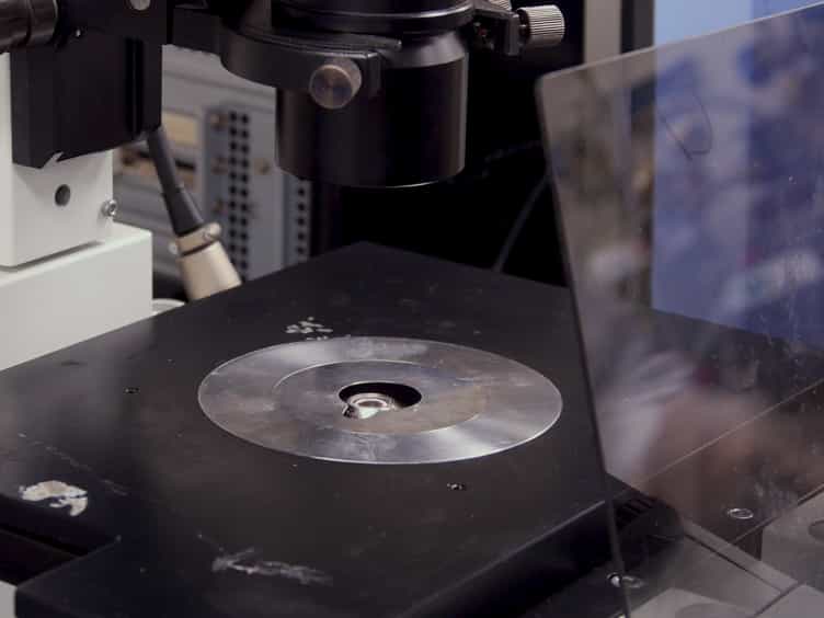 Quantifying Microorganisms at Low Concentrations Using Digital Holographic Microscopy DHM