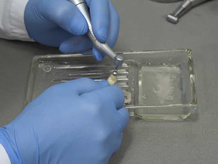 Mimicking and Measuring Occlusal Erosive Tooth Wear with the "Rub&Roll" and Non-contact Profilometry