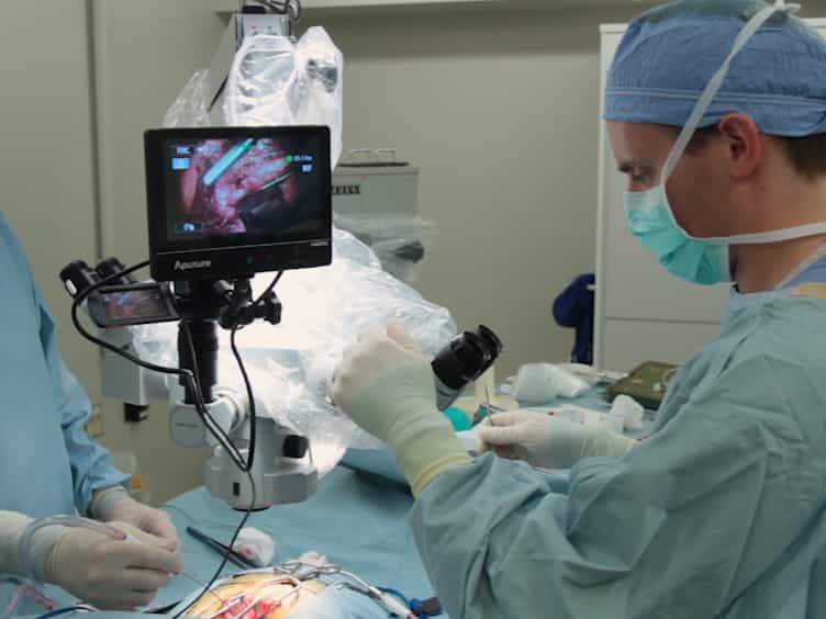 Laminotomy for Lumbar Dorsal Root Ganglion Access and Injection in Swine