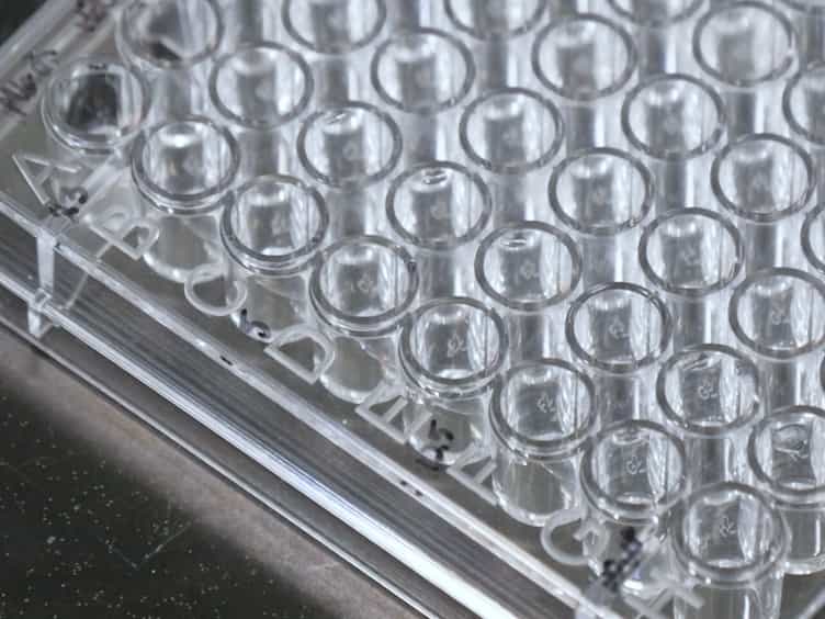 Alternative In Vitro Methods for the Determination of Viral Capsid Structural Integrity