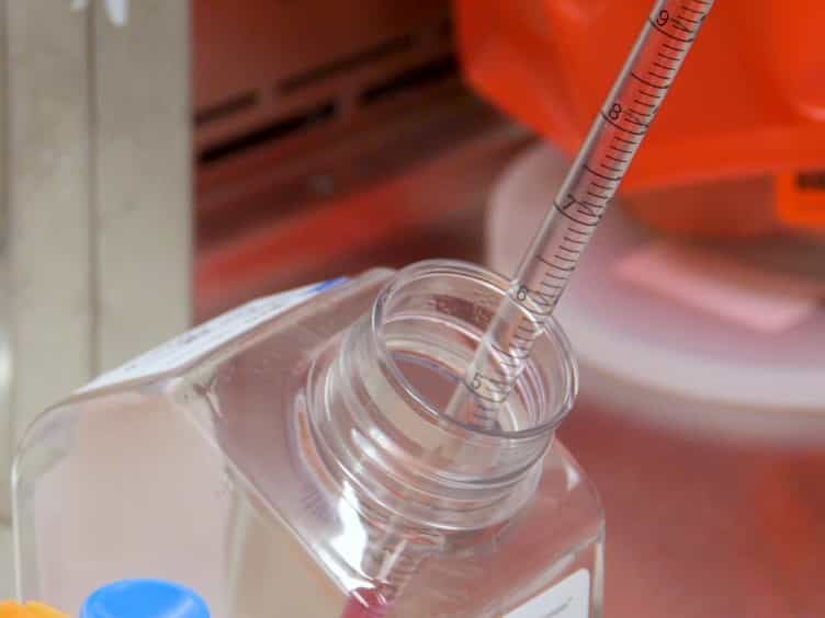 Subcellular Fractionation for ERK Activation Upon Mitochondrial-derived Peptide Treatment