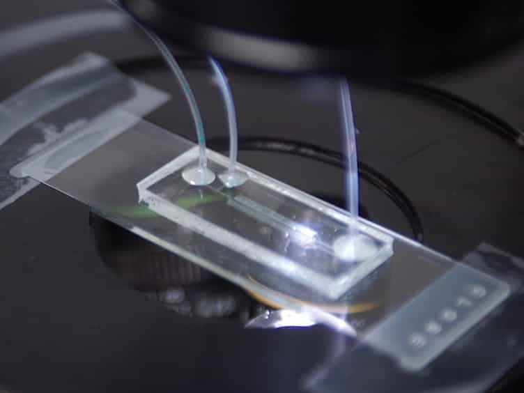 Microfluidic Devices for Characterizing Pore-scale Event Processes in Porous Media for Oil Recovery Applications