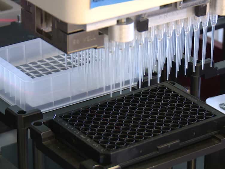 Therapy Testing in a Spheroid-based 3D Cell Culture Model for Head and Neck Squamous Cell Carcinoma