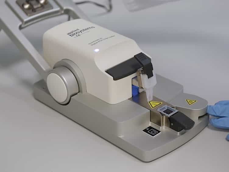 Detection of a CDH1 Rare Transcript Variant in Fresh-frozen Gastric Cancer Tissues by Chip-based Digital PCR