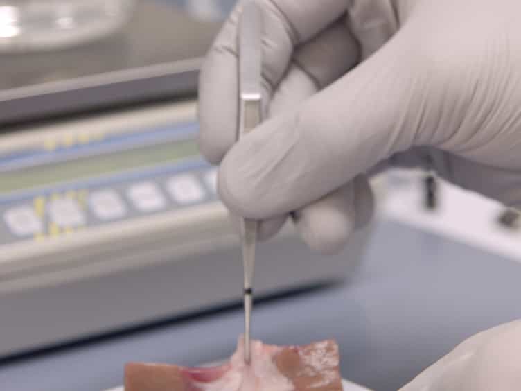 Sampling Strategies and Processing of Biobank Tissue Samples from Porcine Biomedical Models
