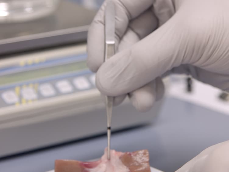 Sampling Strategies and Processing of Biobank Tissue Samples from Porcine Biomedical Models