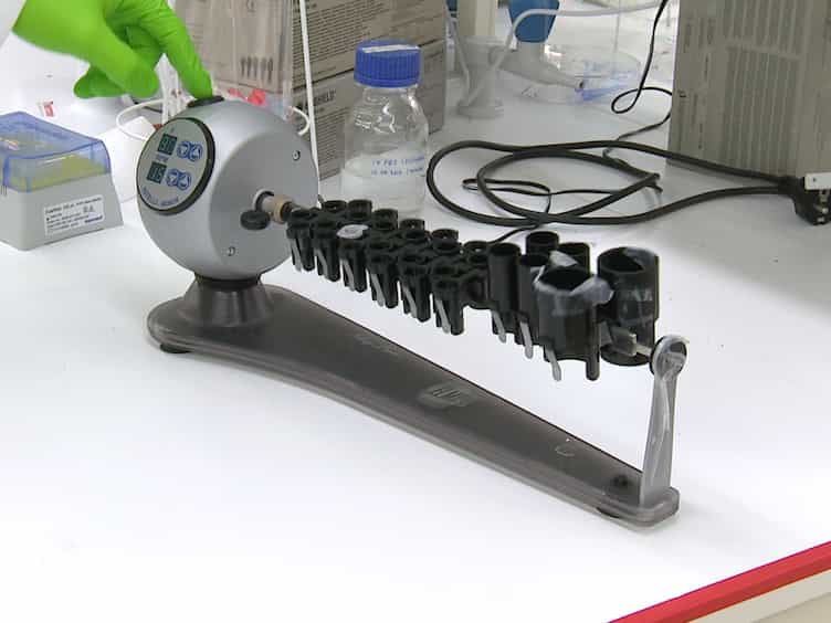 Rapid Nanoprobe Signal Enhancement by In Situ Gold Nanoparticle Synthesis