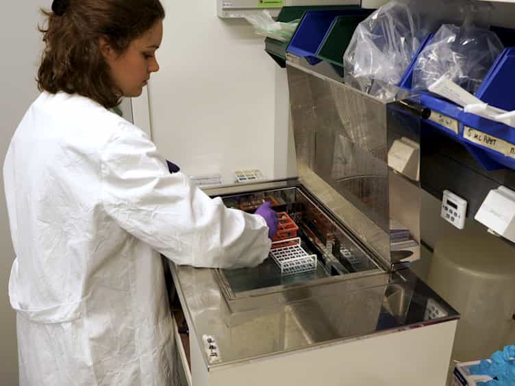Characterization of Immune Cells in Human Adipose Tissue by Using Flow Cytometry