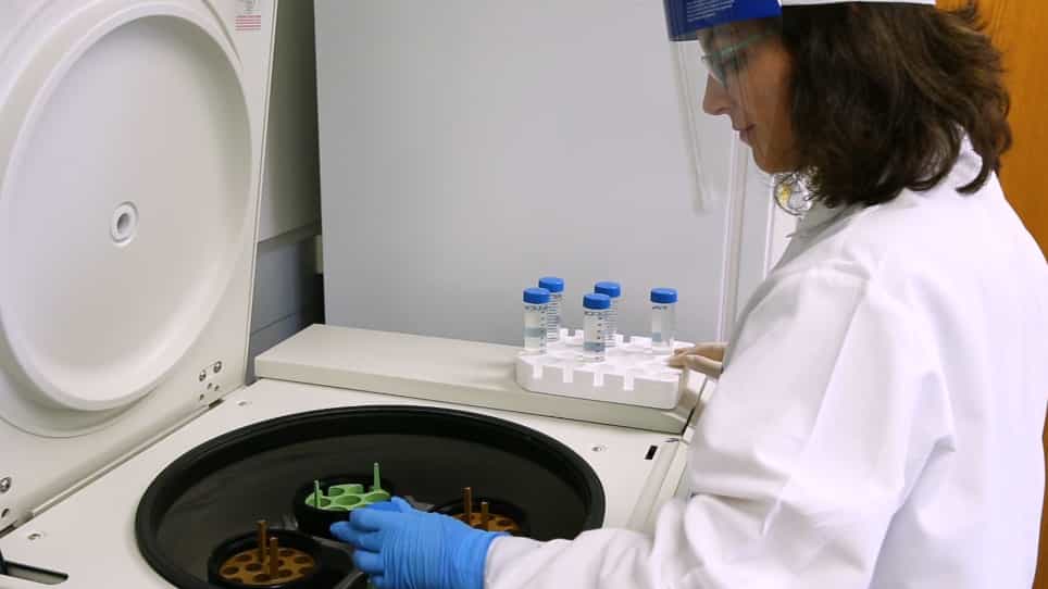 Isolation of Cerebral Capillaries from Fresh Human Brain Tissue
