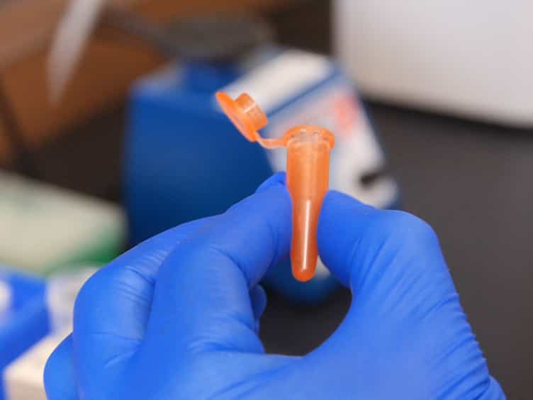 The Lambda Select cII Mutation Detection System